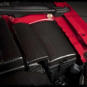ECS TUNING TAPA PARA CAJA DE FUSIBLES DE FIBRA DE CARBONO MQB